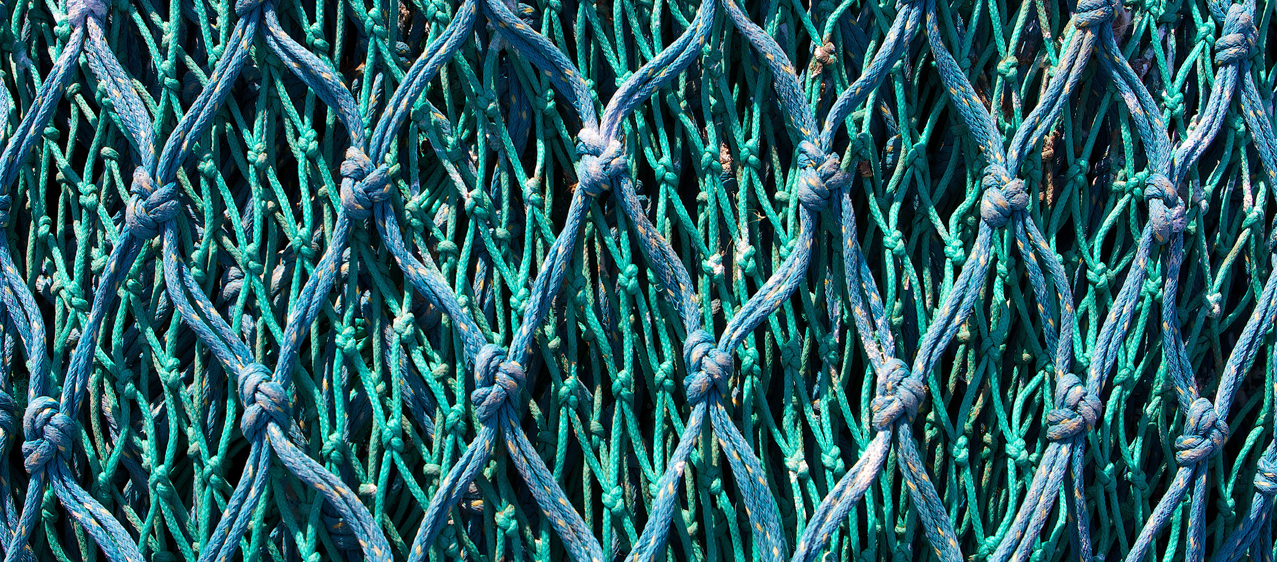 image of fishing nets