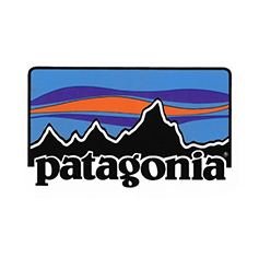 Patagonia Logo with block print orange purple mtns background